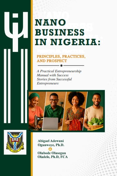 Nano Business in Nigeria Book Cover